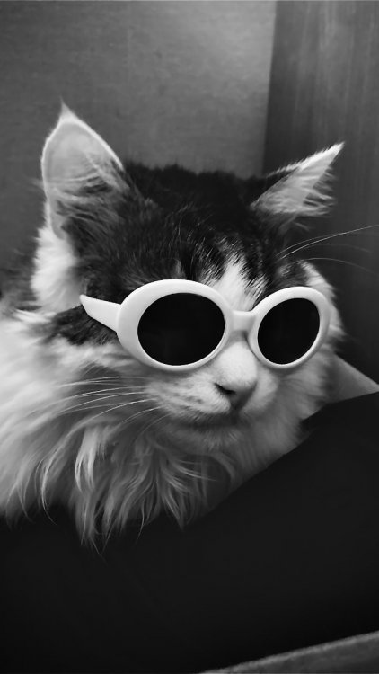 image.thumb.jpeg.e8cfe5f81eb5c4361fc54122ba572ca3.jpeg