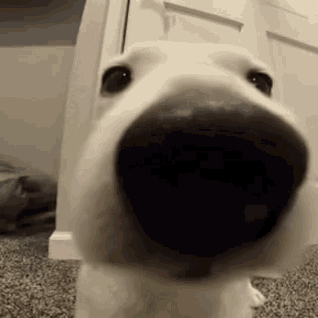image.gif.9e66c8bd991178c91faea420201dba81.gif