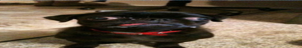 image.thumb.png.d1ae90f590bf3ed415593994dbfee3d0.png
