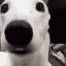 image.gif.0170fc62ab2550d753ec70a49e16a17e.gif