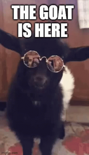 image.gif.7e348174c2be1a1db6af2fda5c7dca94.gif