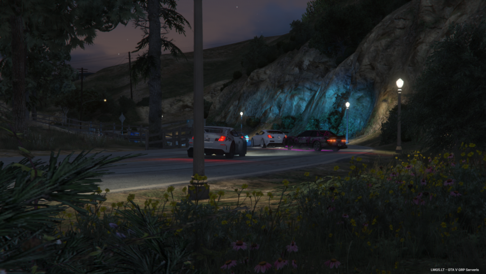Grand Theft Auto V Screenshot 2024.08.31 - 22.49.08.44.png