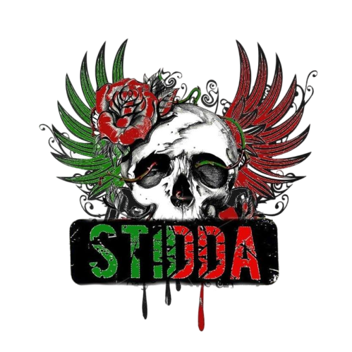 stido.png.0d960e750cd9c910cad399261648ce94.png