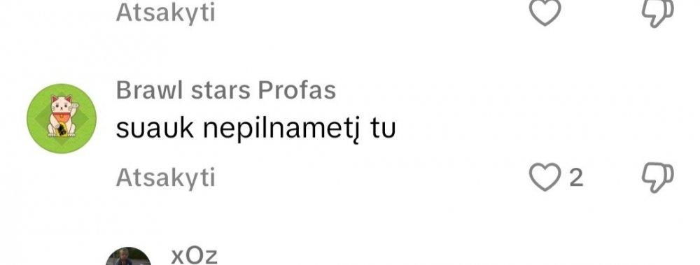Screenshot_20241128-205303_TikTok.jpg