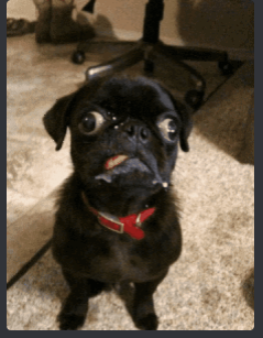 image.png.62e0367f1484e62aed1a314a7609030c.png