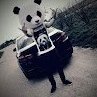 Laurys_White