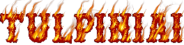 text-1763388020739.png.853457c015b75e3a1507ed1cd896f3e0.png