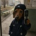 Arnas_Quezy