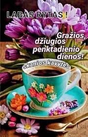 IMG_4399.jpeg